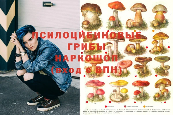 крисы Балабаново