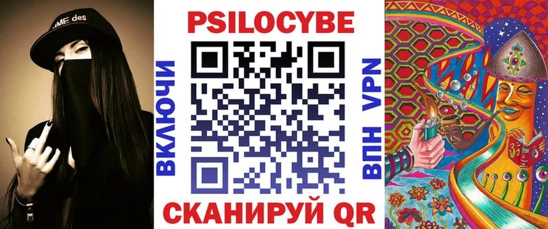 где купить наркоту  Кировск  Галлюциногенные грибы Psilocybe 